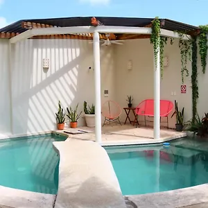 Pecari Nocleg ze śniadaniem Cancún